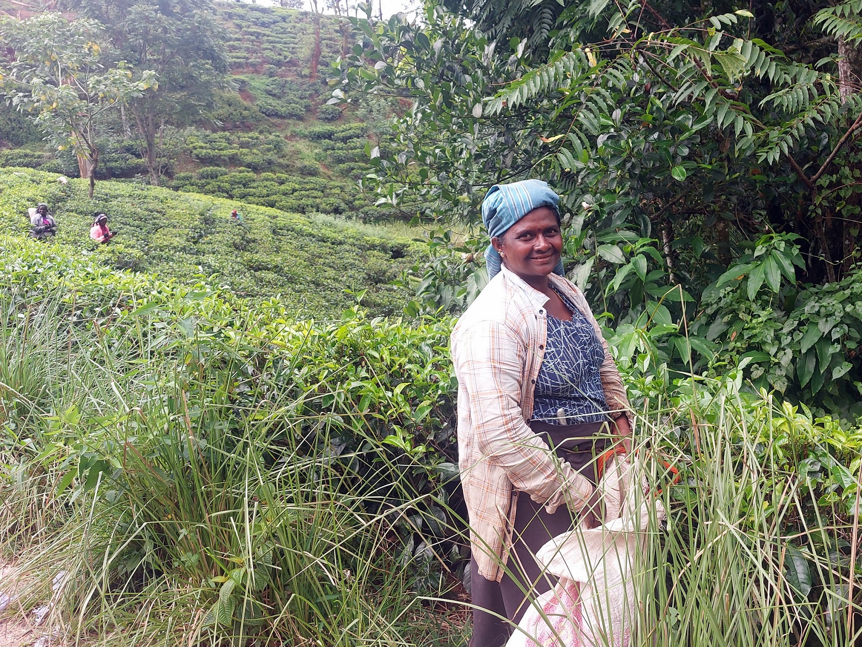Cycling Holidays Sri Lanka