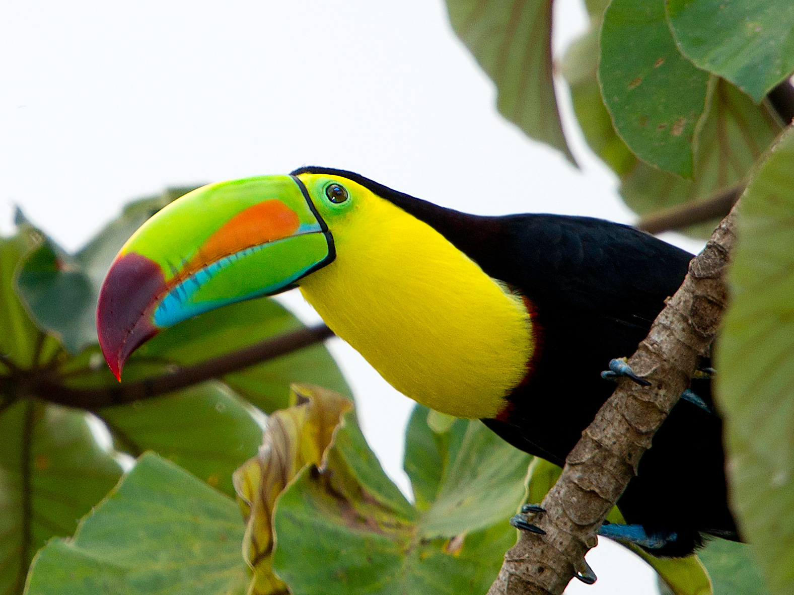 Cycling Holidays Sri Lanka
