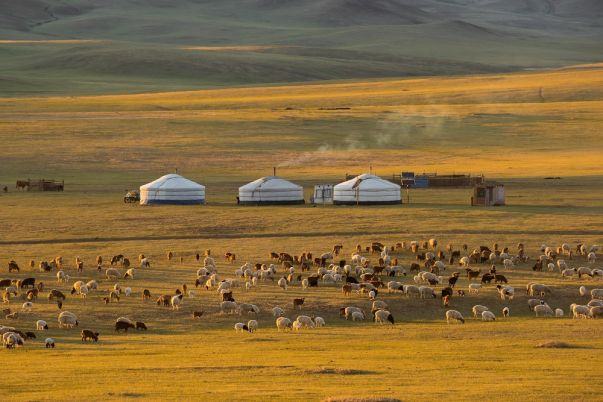 Explore our Mongolia Cycling Holidays