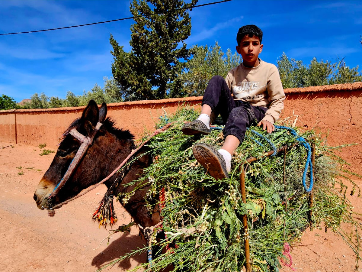 Cycling Tours Morocco